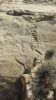 PICTURES/Pueblo Alto Trail/t_Jackson Stairway3.JPG